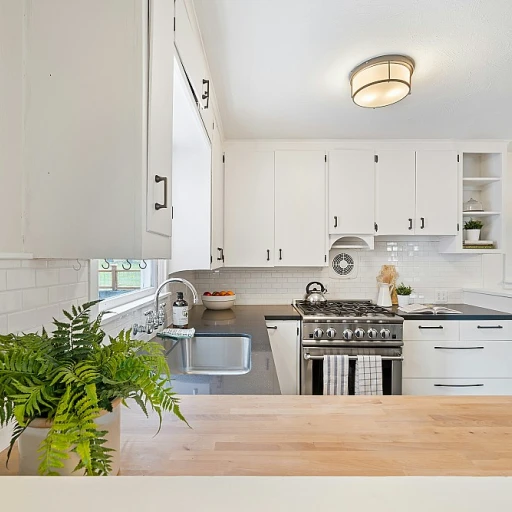 Les meilleures options de portes pour meuble de cuisine