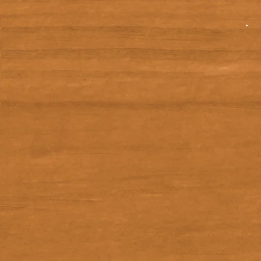 51B4RWsAnFL._AC_SL1080_