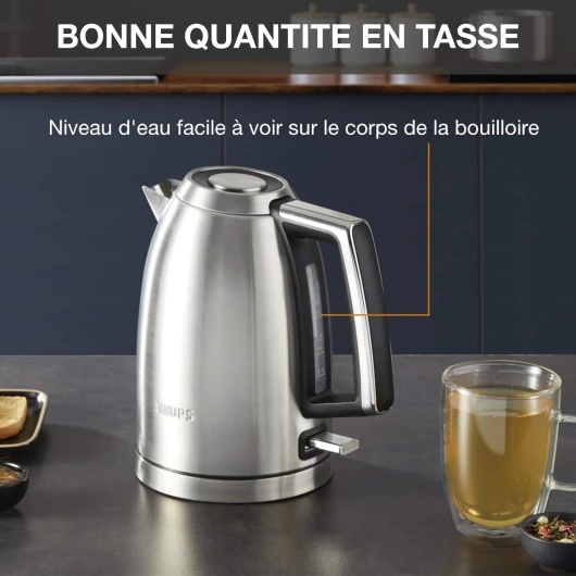 Excellence Bouilloire électrique, Capacité 1,7 L, Inox brossé premium, Base 360°, Résistance cachée, Filtre anticalcaire BW552D10
