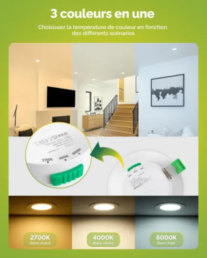 61B5RXtPpPL._AC_SL1500_