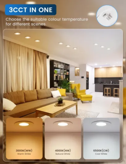 71Fs0XrN2vL._AC_SL1500_