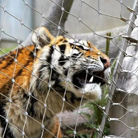 71PeF-lUliL._AC_SL1500_