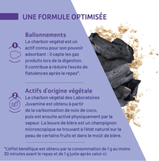 Digestion - Charbon Levure - Gaz Intestinaux - Contribue à Réduire l'excès de Flatulences - 44 Gélules - Programme de 22 Jours - Fabriqué en France Mini