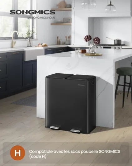 Poubelle de Cuisine Double pour déchets et Recyclage, avec couvercles à Fermeture Douce, seaux intérieurs Amovibles, pédales, en Acier, Noir Encre LTB743B02 Encre Noire.